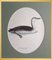 Svenska Fåglar, 10 Birds by Magnus for Wright, Set of 10 8