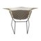 White Diamond Chair by Harry Bertoia for Knoll 6