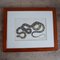 Antique Framed No.2 Snake Print 1