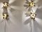 Brass Regency Flower Wall or Ceiling Light in the Style of Willy Daro, 1970s, Set of 2 3