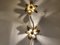 Brass Regency Flower Wall or Ceiling Light in the Style of Willy Daro, 1970s, Set of 2 6