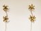 Brass Regency Flower Wall or Ceiling Light in the Style of Willy Daro, 1970s, Set of 2 9