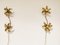 Brass Regency Flower Wall or Ceiling Light in the Style of Willy Daro, 1970s, Set of 2, Image 9