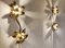 Brass Regency Flower Wall or Ceiling Light in the Style of Willy Daro, 1970s, Set of 2 4