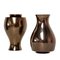 Jive Vases by Ron Arad for Cor Unum, 1990s, Set of 2 1