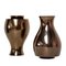 Vases Jive par Ron Arad pour Cor Unum, 1990s, Set de 2 1