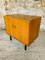 Mid-Century Storage Cabinet on Metal Legs, 1950s or 1960s, Image 20