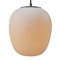 Vintage Industrial Pendant Lamp in Matt White Opaline Milk Glass from Philips 2