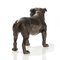 Vienna Bronze English Bulldog from Workshop Bermann 4