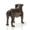 Wiener Bronze Englische Bulldogge von Workshop Bermann 4