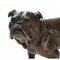Vienna Bronze English Bulldog from Workshop Bermann 2