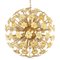 Large Vintage Italian Sputnik Chandelier with Flowers in Iridescent Honey-Colored Murano Glass & Brass Frame, Image 1