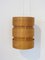 Scandinavian Stumpe T334 Ceiling Lamp by Hans-Agne Jakobsson for AB Ellysett, Image 8