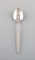 Cypress Coffee Spoons in Sterling Silver from Georg Jensen, Set of 10 2