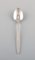 Cypress Coffee Spoons in Sterling Silver from Georg Jensen, Set of 10, Image 2