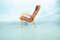 Swedish Leather Lamino Lounge Chair by Yngve Ekström for Swedese, 1960s 7