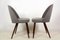 Dining Chairs by Antonín Šuman for Tatra, 1960s, Set of 2 14