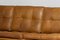 Camel Buffalo Leather Merkur Sofa By Arne Norell A.B., Sweden, 1960s, Image 6