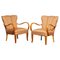 Club chair in legno curvato di olmo, Scandinavia, anni '50, set di 2, Immagine 1