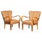 Scandinavian Bentwood Armchairs Club Chairs in Elm, Sweden, 1950s, Set of 2 1
