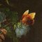 Natura Morta con Fiori Farfalla e Lucertola, óleo sobre lienzo, Imagen 5