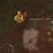 Bodegón con flores y frutas, óleo sobre lienzo, Imagen 6