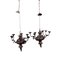 Chandeliers in Torchiere, Set of 2 1