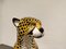 Vintage Leopard aus Keramik, 1970er 7