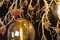 Flower Power Manzanita & Egg Lamp Chandelier from VGnewtrend, Italy 3