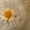 Deckenlampe aus klarem und goldbraunem Muranoglas von Barovier & Toso, Italien 3