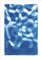 Espirales en forma de espiral con capas orgánicas en tonos azules, cianotipo hecho a mano sobre papel, 2021, Imagen 1