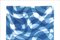 Falling Swirls with Organic Curvy Layers in Blue Tones, Handmade Cyanotype on Paper, 2021 5
