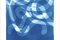 Espirales en forma de espiral con capas orgánicas en tonos azules, cianotipo hecho a mano sobre papel, 2021, Imagen 4