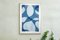 Cyanotype de Motifs de Piscine Minimalistes Faits à la Main dans les Tons Bleus, Papier, 2021 2