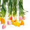 Großer runder Flower Power Tulip Kronleuchter von Vgnewtrend, Italien 4
