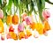 Grand Lustre Flower Power Tulip Rond de VGnewtrend, Italie 5