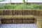 Vintage Moss Green Modular Sofa, 1970s, Set of 8 17