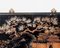 Decoración de pared china de madera, siglo XIX, Imagen 10