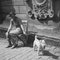 Femme avec son chien au château de Heidelberg, Allemagne 1936, Imprimé 2021 1