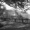 View to the Heidelberg Castle, Germany 1938, Printed 2021, Image 1