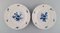 Five Antique Meissen Porcelain Dinner Plates with Hand-Painted Flowers, Set of 5 2