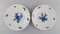 Five Antique Meissen Porcelain Dinner Plates with Hand-Painted Flowers, Set of 5 3