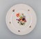 Antique Porcelain Plates with Hand-Painted Flowers, Set of 5 4