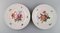 Antique Porcelain Plates with Hand-Painted Flowers, Set of 5 2
