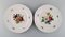 Antique Porcelain Plates with Hand-Painted Flowers, Set of 5 3