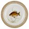 Royal Copenhagen Fauna Danica Fish Plate in Hand-Painted Porcelain 1