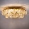 Large Flush Mount Light Fixture in Glass, Brass and Nickel from Doria, 1960s 8