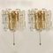 Ice Glass Wall Sconce with Brass Tone by J. T. Kalmar, Austria, Image 3