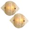 Murano Opal Clear Glass Sconces from Kalmar, 1970s, Set of 2 1