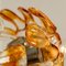 Lustre Murano en Verre Transparent Orange et Chrome de Mazzega, 1960s 4